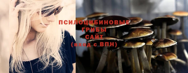 Альфа ПВП Богданович