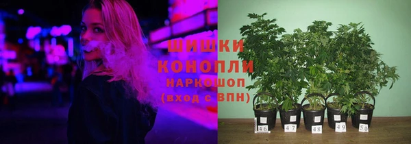 2c-b Белокуриха