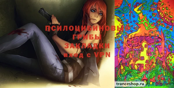 2c-b Белокуриха