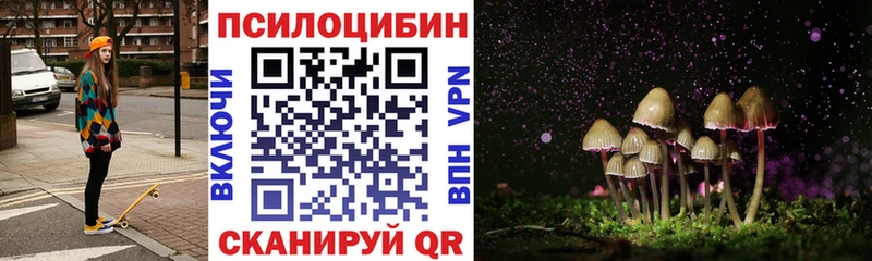 Псилоцибиновые грибы MAGIC MUSHROOMS  где найти наркотики  Яблоновский 